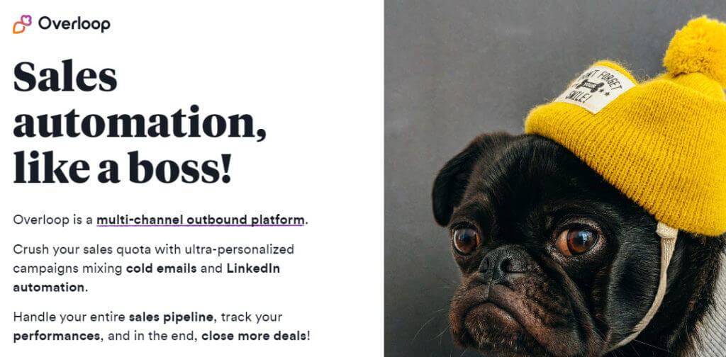 Overloop home page